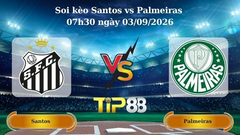TIP88 Nhận định soi kèo Santos vs Palmeiras 07h30 ngày 03/09/2026 - Cúp Brazil